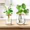 4 Pack Glass Plant Propagation Stations with Wooden Lid & Bamboo Stand – Hydroponic Small Potted Plant Vases for Desk, Home & Office Decor